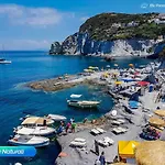 Apartment Bluponza - 8 Posti In Zona Mare - App Orchidea *