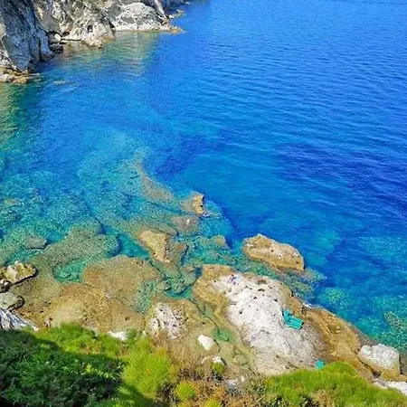 Appartement Bluponza - 8 Posti In Zona Mare - App Orchidea